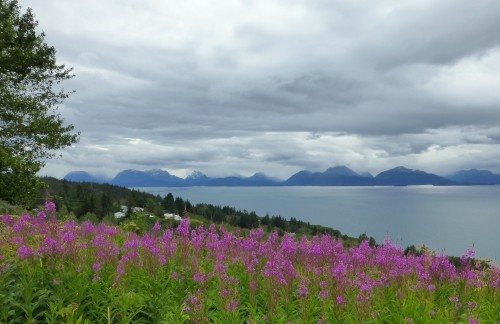 Cook Inlet and the Chigmit Mountains of the Aleutian Range