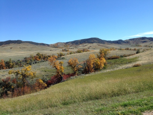 Pretty Fall Colors in Montana